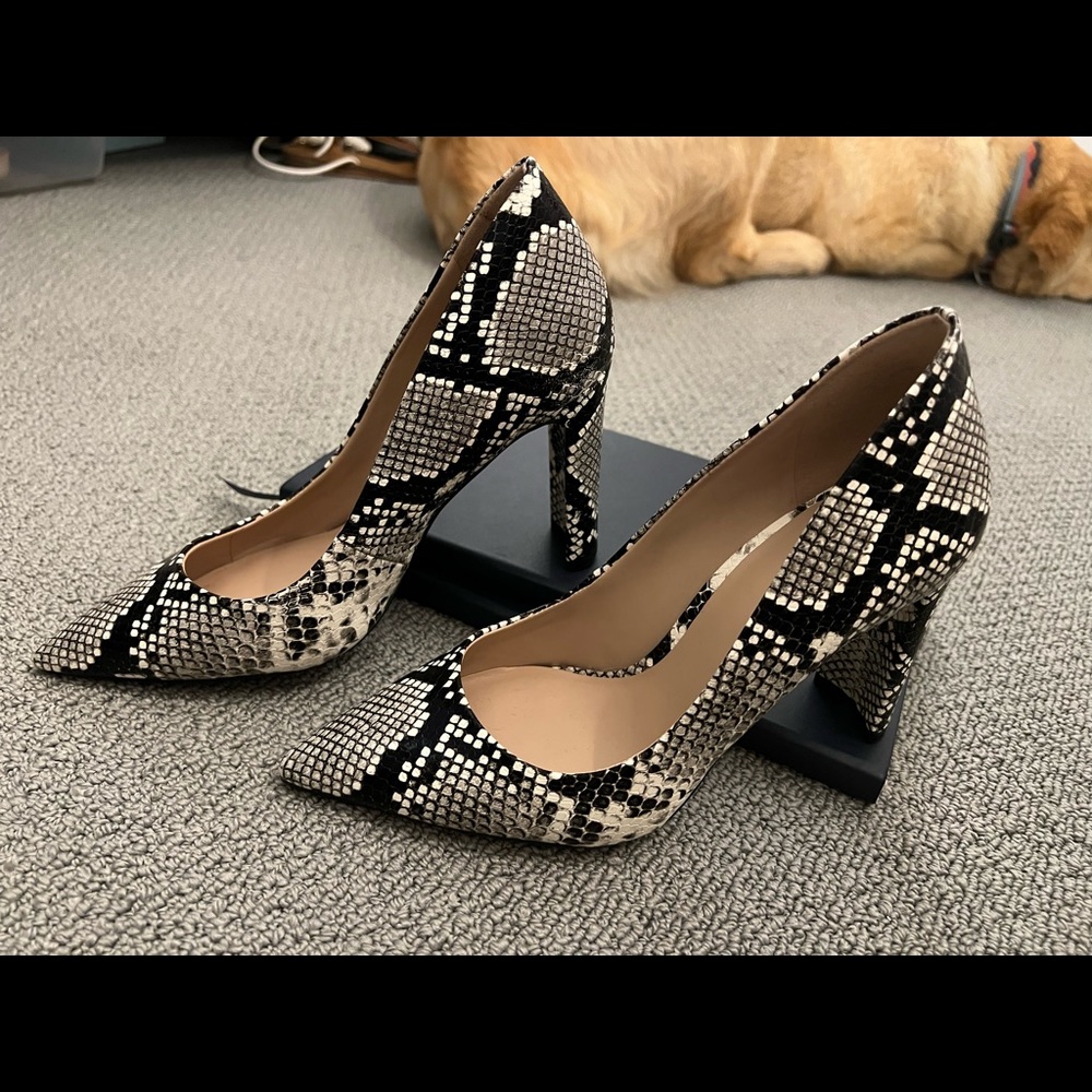 Snakeskin black aldo heal